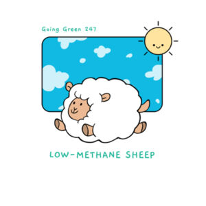 Low Methane Sheep - Kids Design