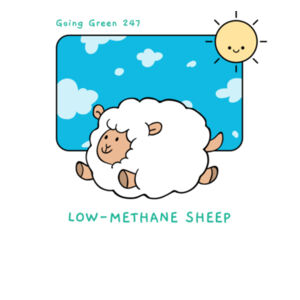 Low Methane Sheep - Woman Design